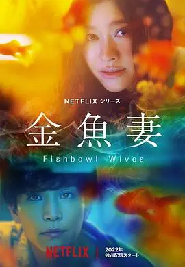 金鱼妻 海报
