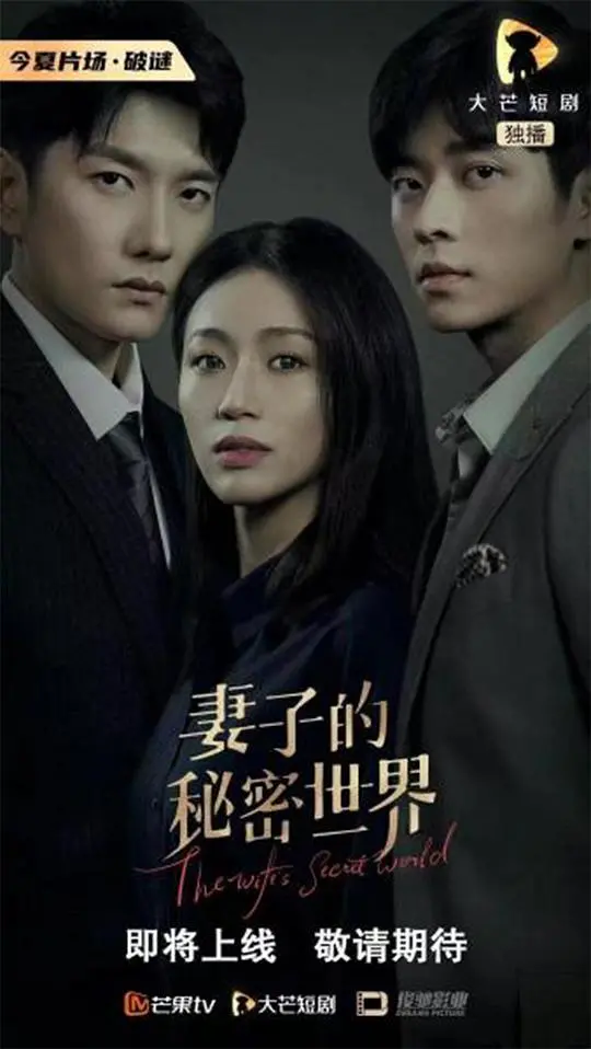 妻子的秘密世界 海报
