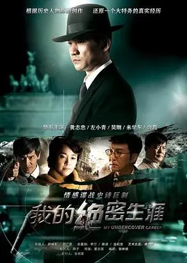我的绝密生涯 海报