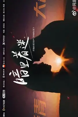 暗里着迷 海报