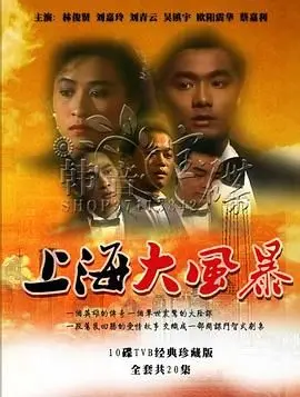上海大风暴粤语版 海报